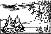 coloriage foret en hiver