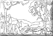 coloriage bois fleurs